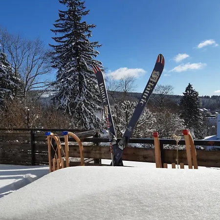 Kaminfeuer Hahnenklee - Ausblick Bis Zur Stabkirche *