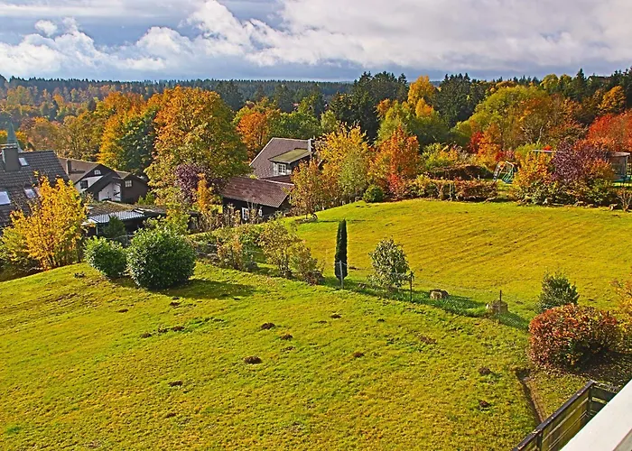 Kaminfeuer Hahnenklee - Ausblick Bis Zur Stabkirche * Goslar