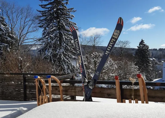 Kaminfeuer Hahnenklee - Ausblick Bis Zur Stabkirche *